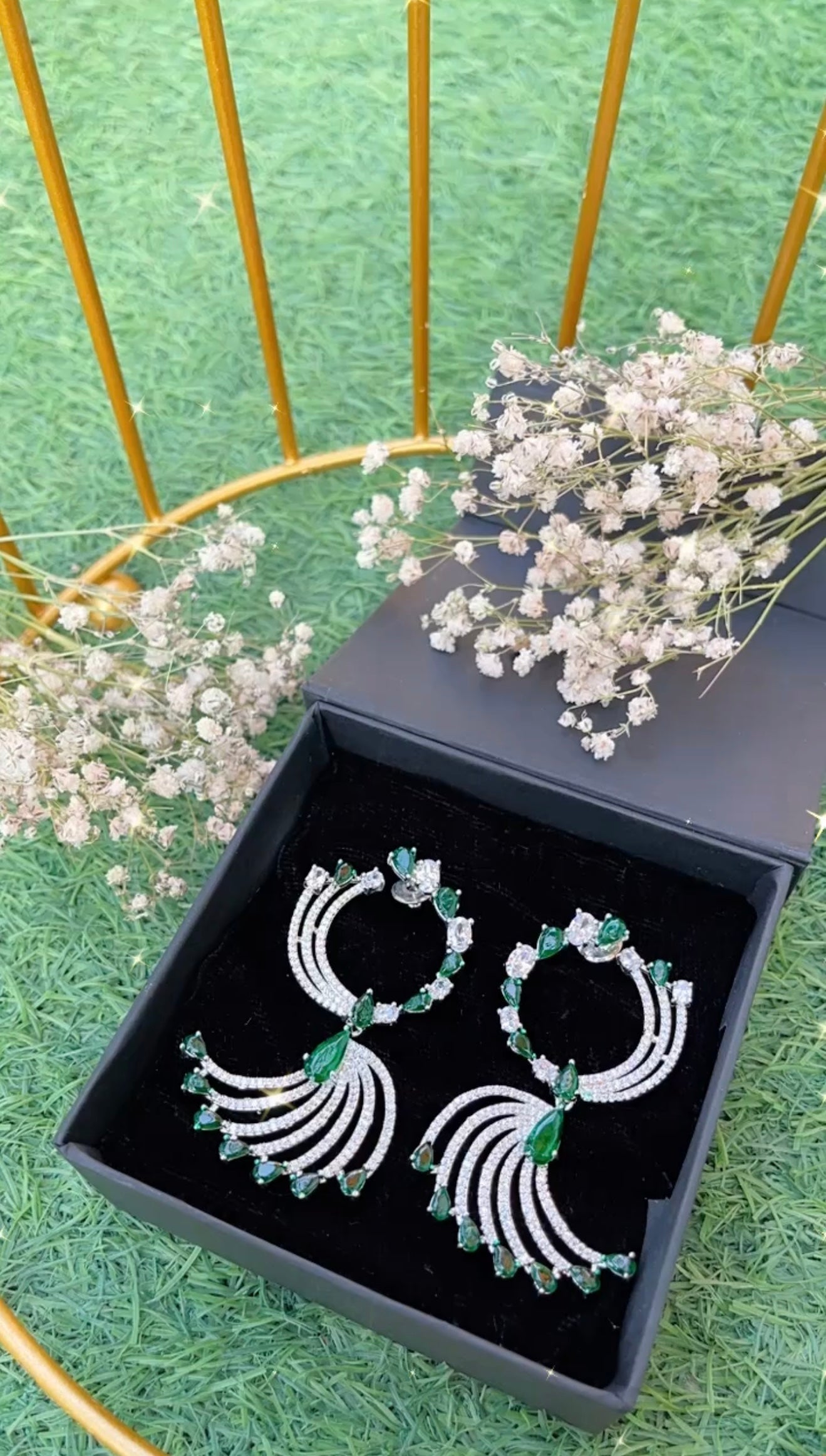 Earrings